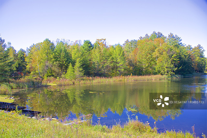 马萨诸塞州蒙特雷加菲尔德湖的清晨倒影图片素材