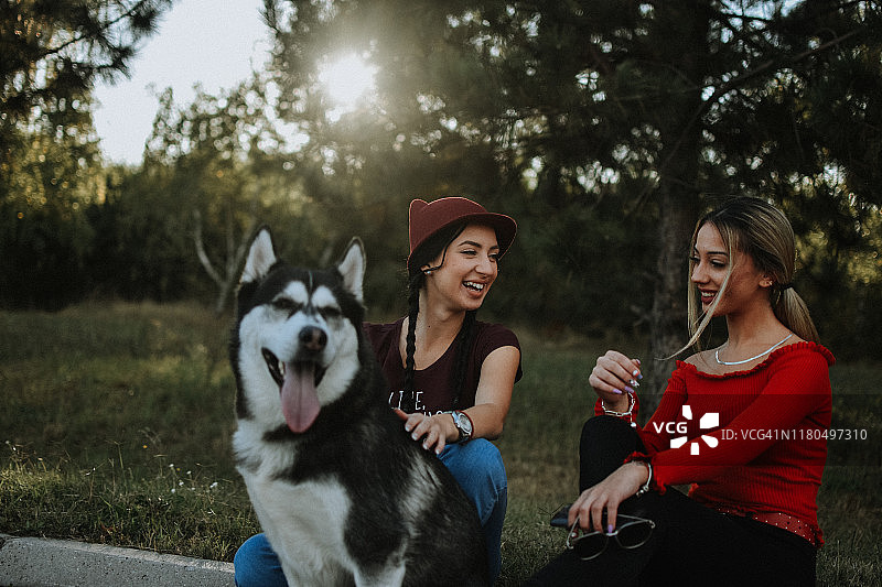年轻女人和狗图片素材