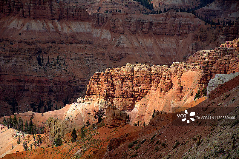 雪松打破国家纪念碑图片素材