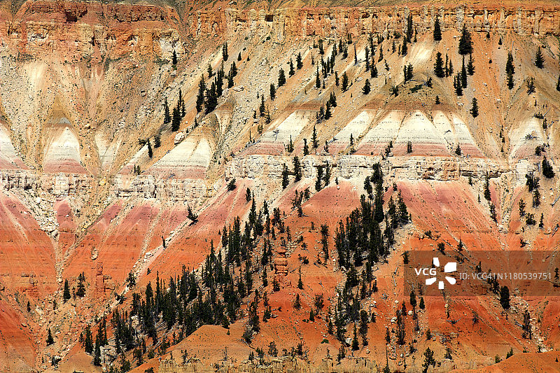 雪松打破国家纪念碑图片素材