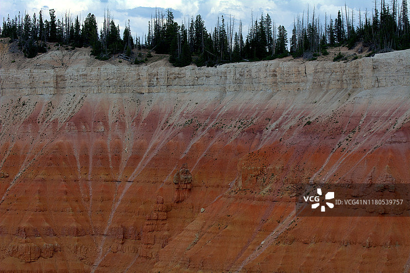 雪松打破国家纪念碑图片素材