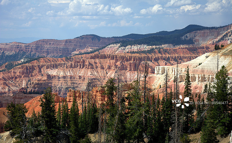 雪松打破国家纪念碑图片素材