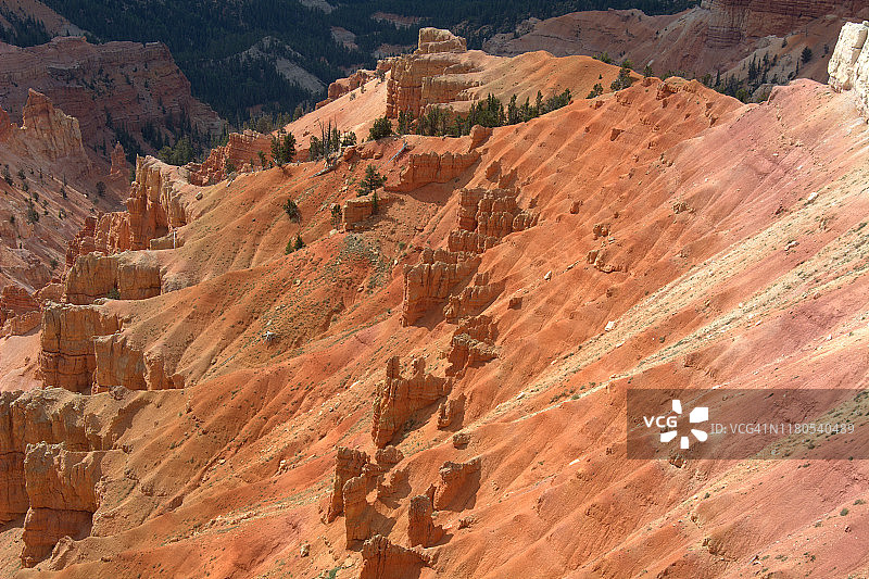 雪松打破国家纪念碑图片素材