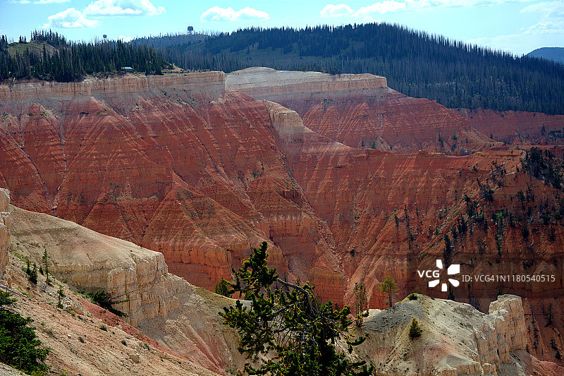 雪松打破国家纪念碑图片素材