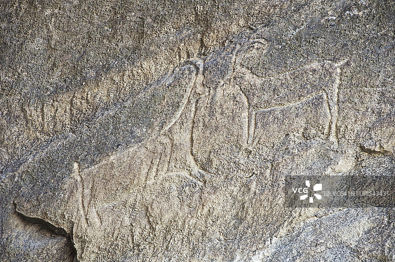 科布斯坦岩画保护区史前野山羊岩画图片素材