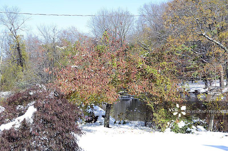2011年10月30日星期日拍摄的照片图片素材