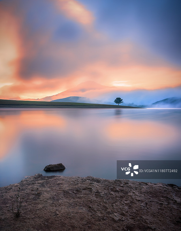 自然风光：孤独的树在雾气湖面上倒影，日出时天空云彩富有戏剧性图片素材