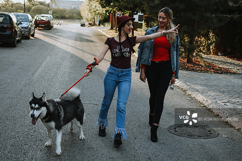 两名年轻女人遛狗图片素材