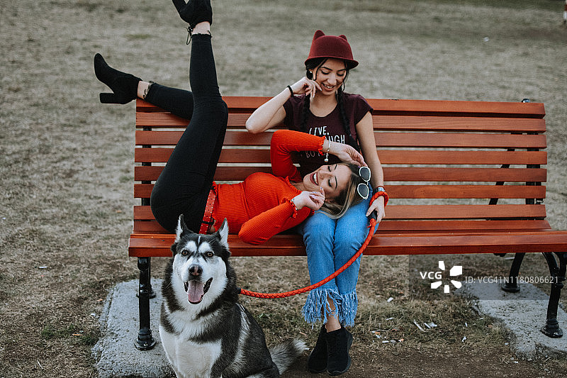 年轻女人和狗图片素材