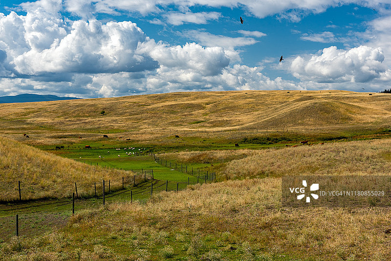 田园风光图片素材