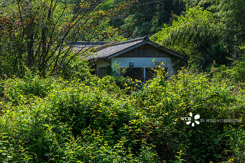 废弃的山间小屋图片素材