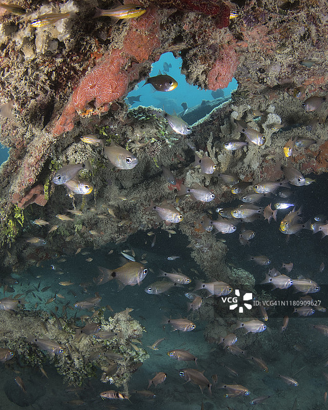 瓦努阿图百万美元点二战遗址图片素材