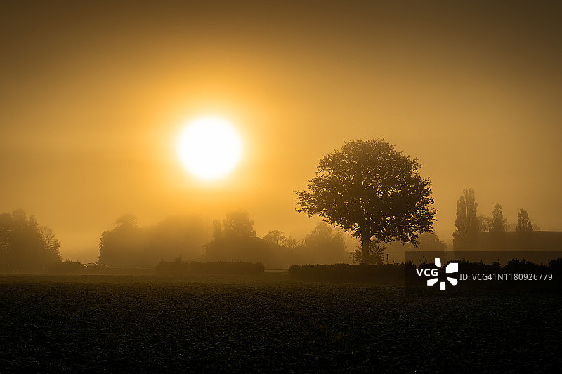 朦胧的日出图片素材