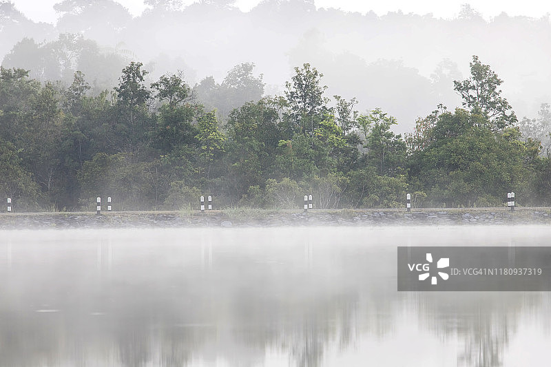 亚洲热带雨林的薄雾景观图片素材