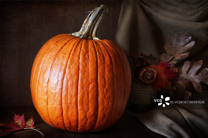 秋季的宝藏：南瓜静物图片素材