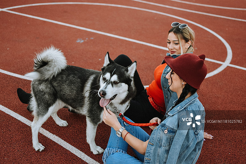 年轻女人和狗图片素材