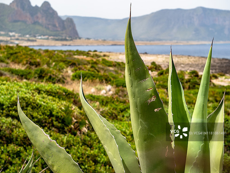 圣维托洛卡波图片素材