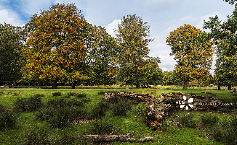 邓纳姆·马西的秋天图片素材