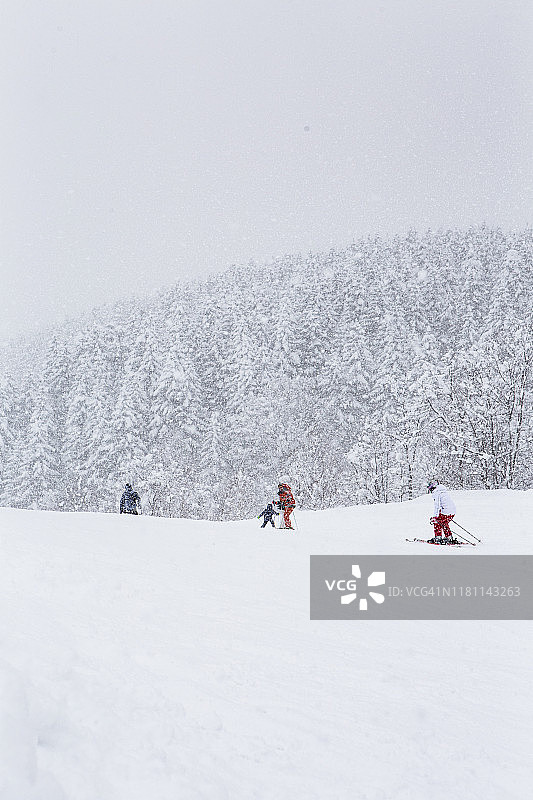 在日本新雪谷的滑雪坡上过冬图片素材