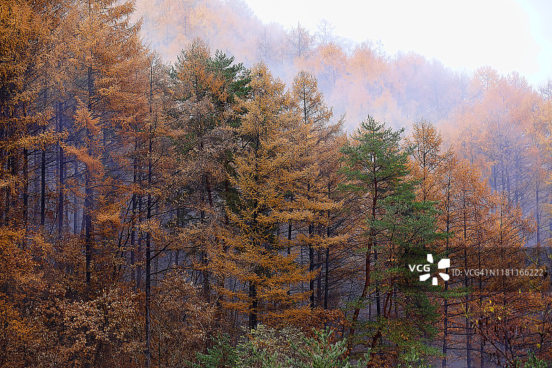 秋天的风景图片素材