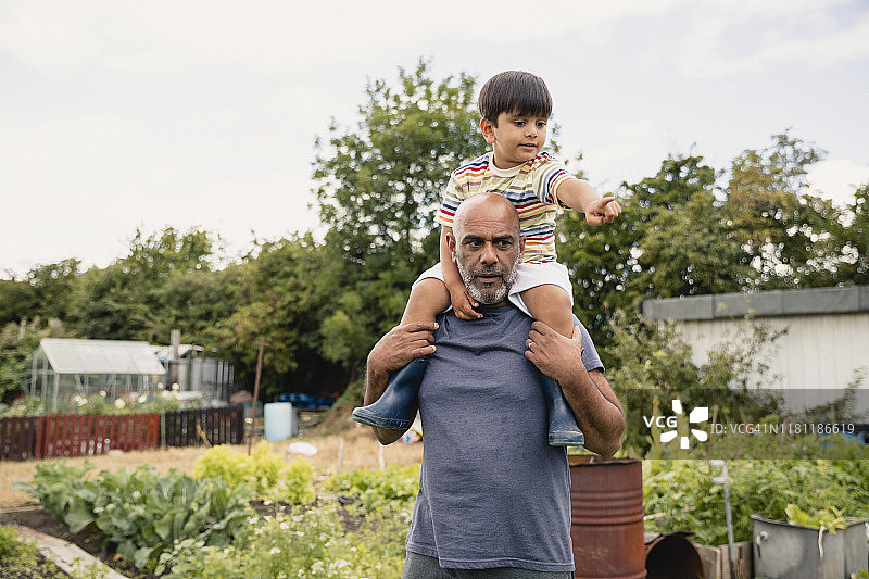 在祖父的肩膀上图片素材