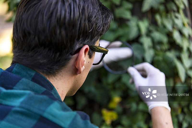 生物技术工程师检查植物叶片病害图片素材