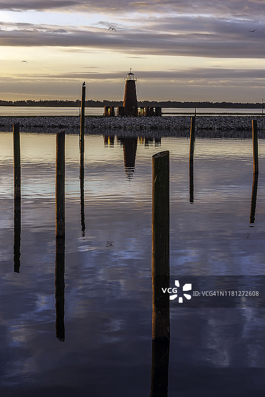 佛罗里达州基西米托霍湖岸边，寒冷冬日清晨日出时分，海鸥与蛇鹈栖息在废弃码头柱子上晾晒翅膀图片素材