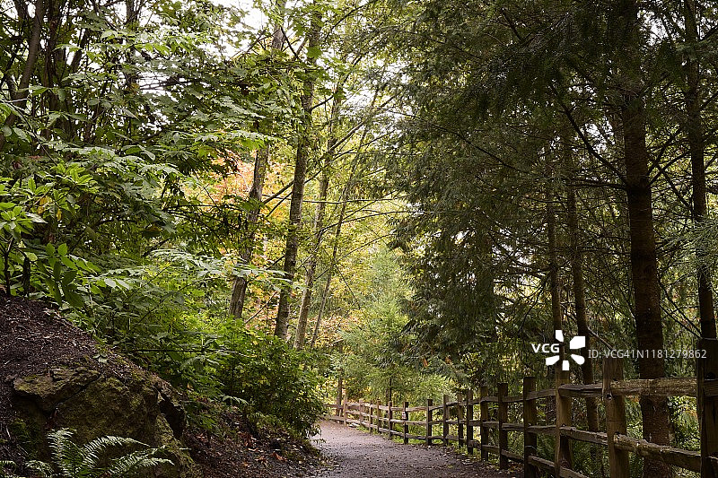 塔姆沃特瀑布公园秋季宁静的森林小径图片素材