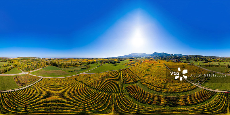 阿尔萨斯黄色葡萄园的360度全景图片素材