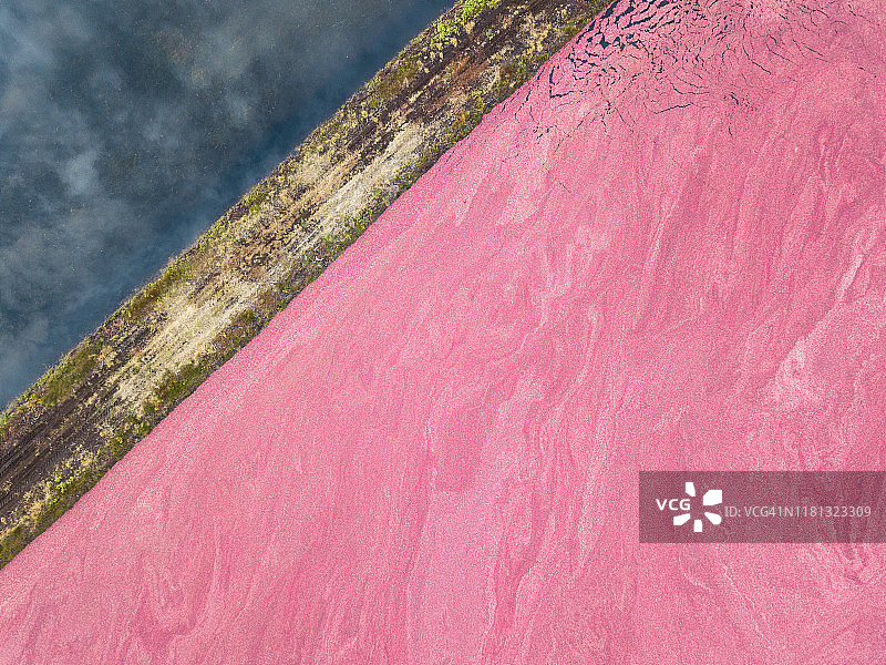 加拿大新不伦瑞克省波克肖蔓越莓农场抽象图图片素材