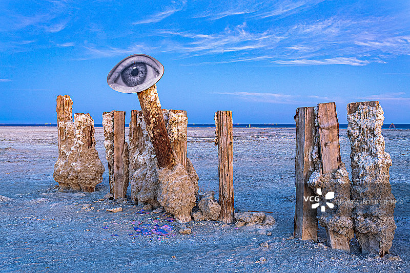 索尔顿海的眼睛和桩图片素材
