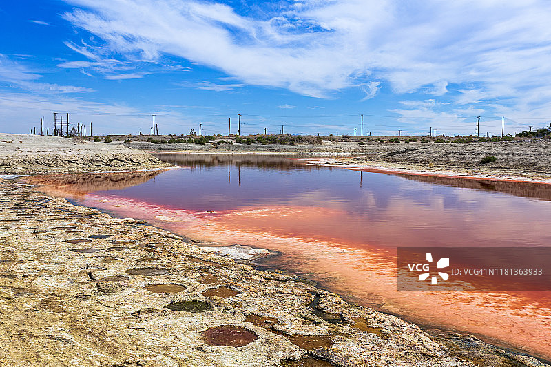索尔顿海的红色藻华图片素材