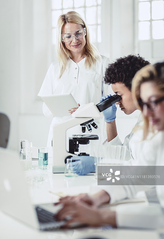 在实验室工作的科学家们图片素材