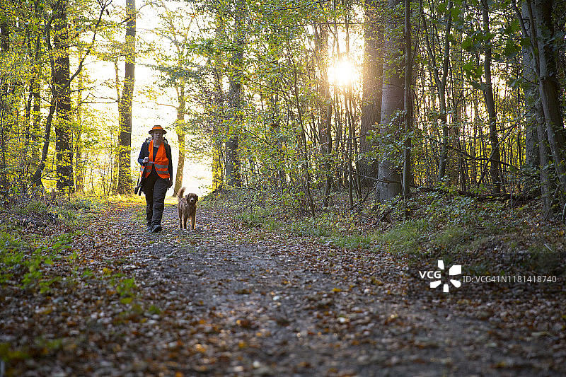 秋季，女猎人带着她的狗穿过森林图片素材