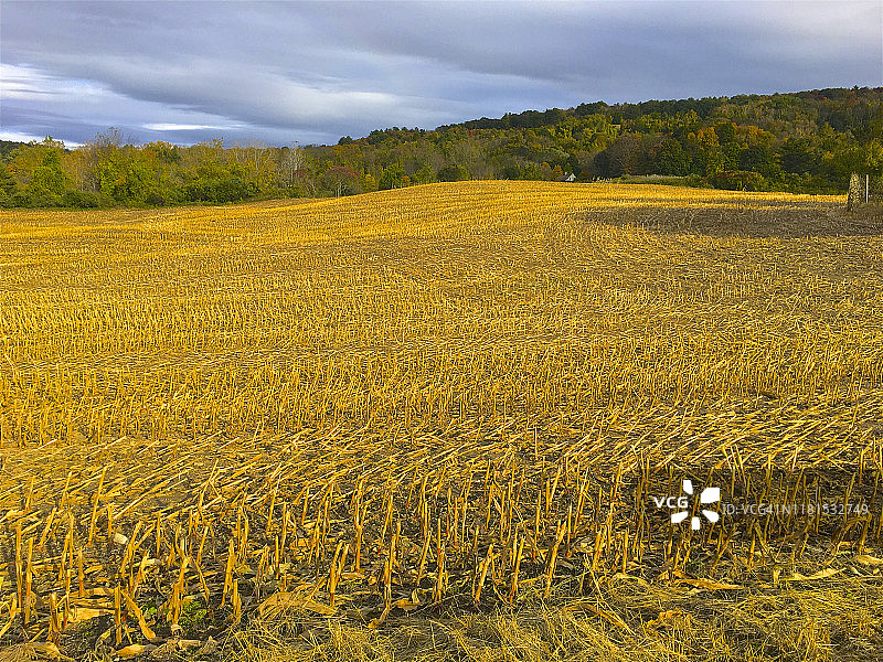 纽约州哥伦比亚县的秋天图片素材