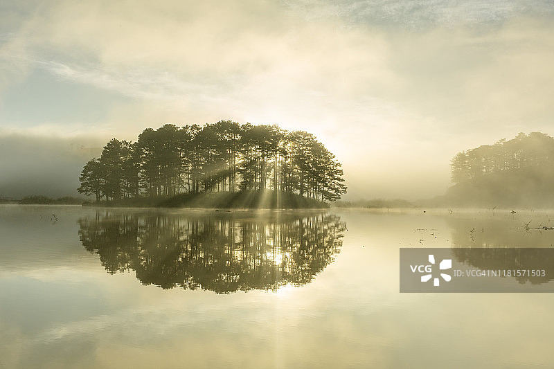 松树岛屿阳光图片素材
