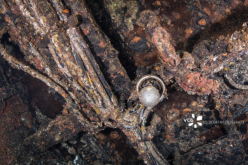 比基尼环礁马绍尔群岛萨拉托加号航空母舰水下的灯泡图片素材