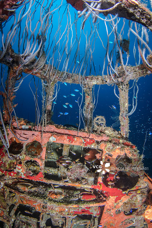 比基尼环礁萨拉托加号航空母舰上的地狱俯冲者二战飞机，马绍尔群岛图片素材