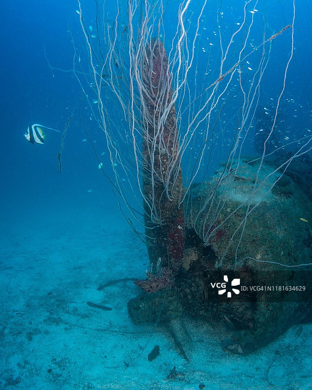 比基尼环礁萨拉托加号航空母舰上的潜水员，马绍尔群岛图片素材