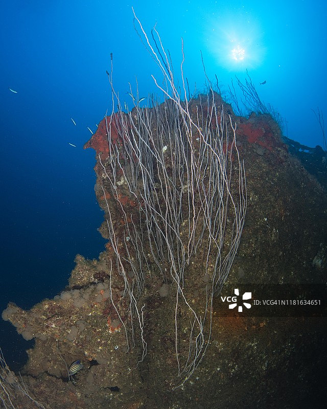 十字路口行动中，位于马绍尔群岛比基尼环礁水下的美国卡莱尔号图片素材