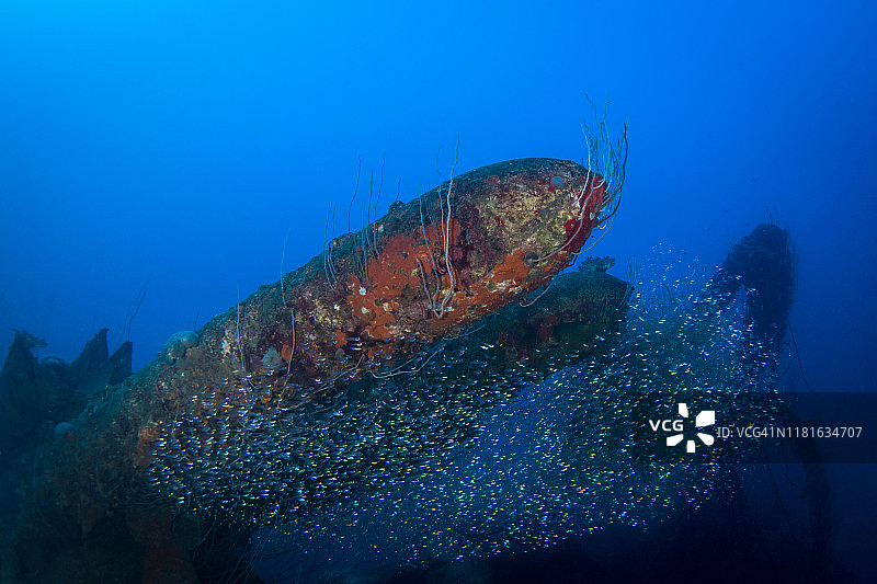 十字路口行动中位于马绍尔群岛比基尼环礁水下的拉姆森号战舰图片素材
