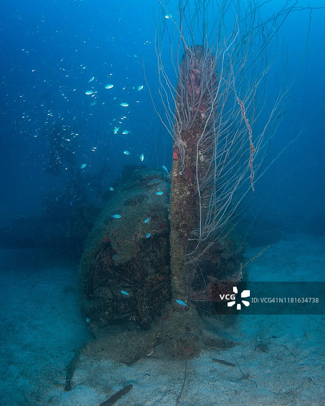 比基尼环礁萨拉托加号航空母舰上的潜水员，马绍尔群岛图片素材