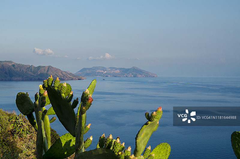 从萨利纳看到的伊奥利亚群岛与前景中盛开的仙人掌图片素材