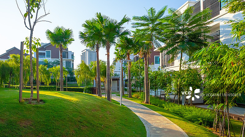 郊区住宅区的美丽园艺图片素材