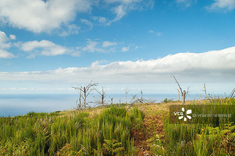 马德拉丰达峡谷观景台图片素材