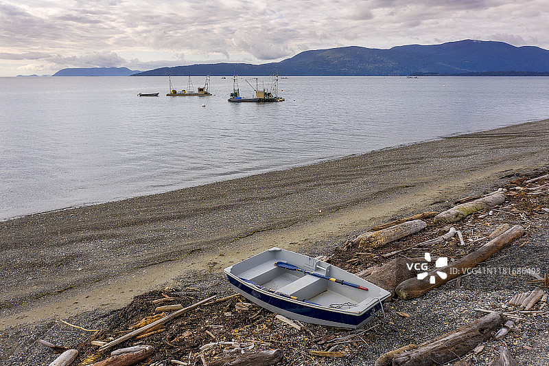 华盛顿州拉米岛海岸附近的礁网三文鱼渔船图片素材