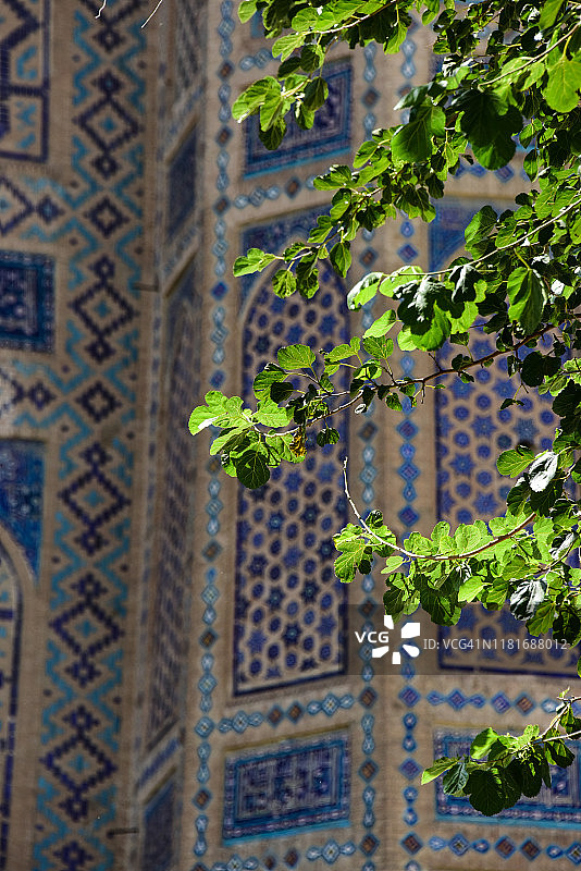 树枝与比比·哈尼姆清真寺的马赛克装饰图片素材