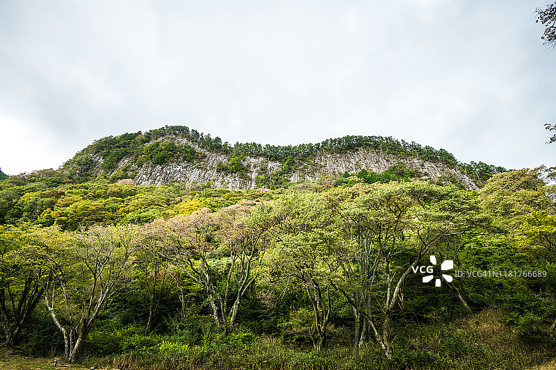 日本东奈良柱状节理（玄武岩柱）的优美景观：屏风岩图片素材