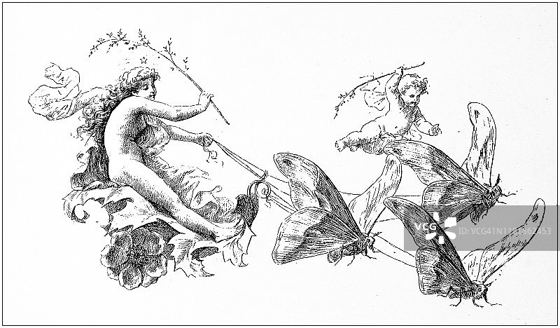 儿童天使与蝴蝶古董插画图片素材