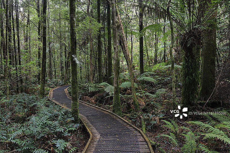 富兰克林-戈登野生河流国家公园小径图片素材